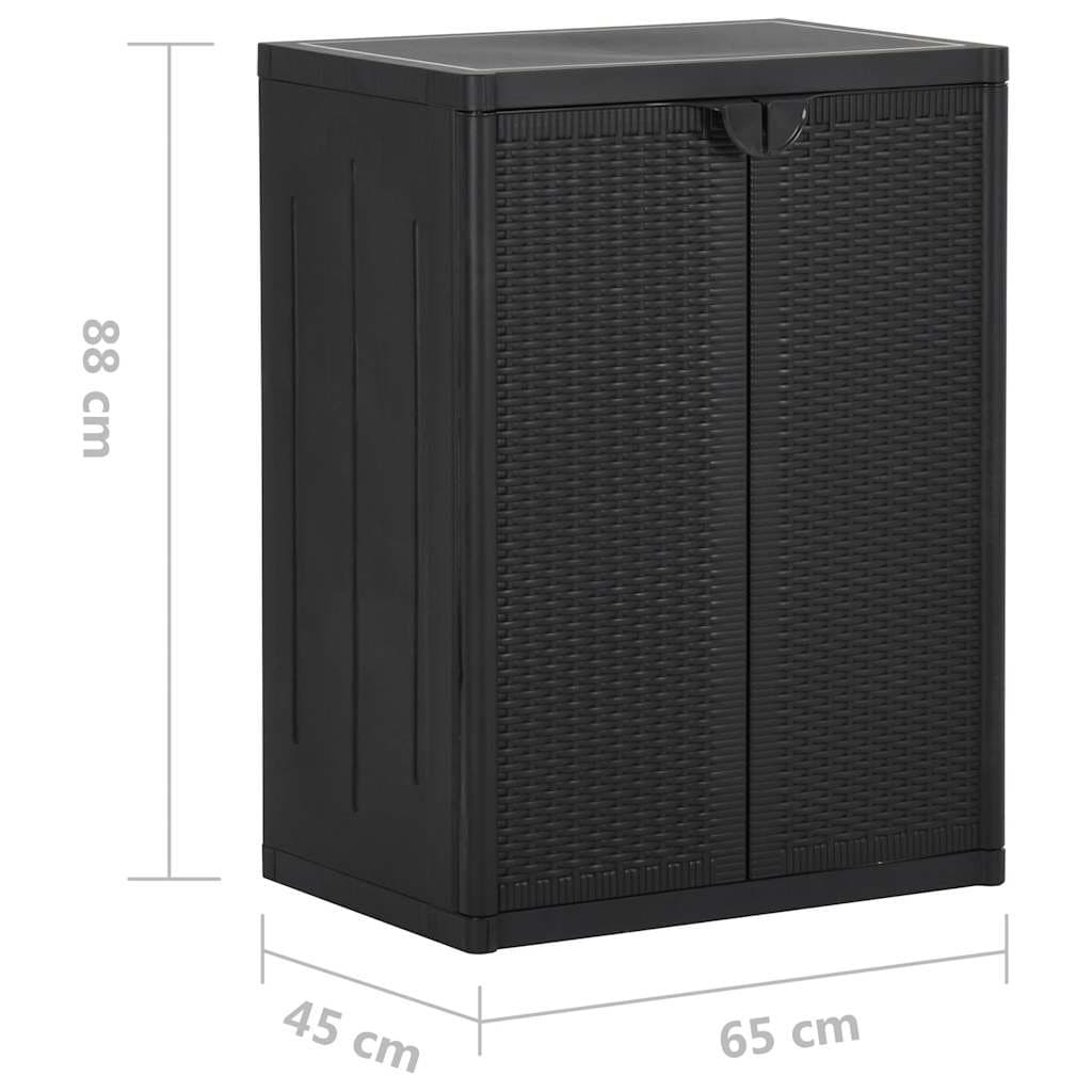 Black Storage Cabinet for Indoor and Outdoor Use
