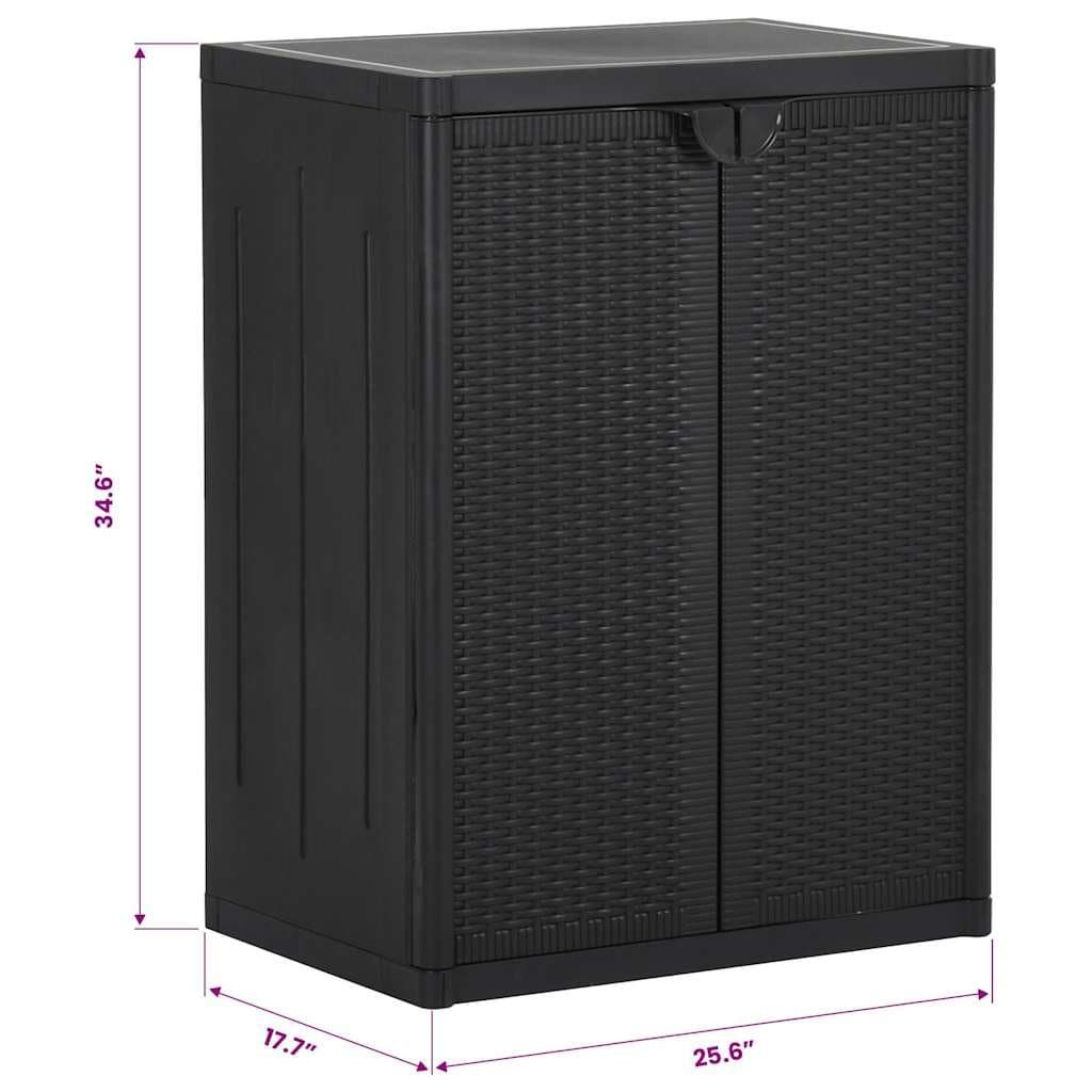 Black Storage Cabinet for Indoor and Outdoor Use