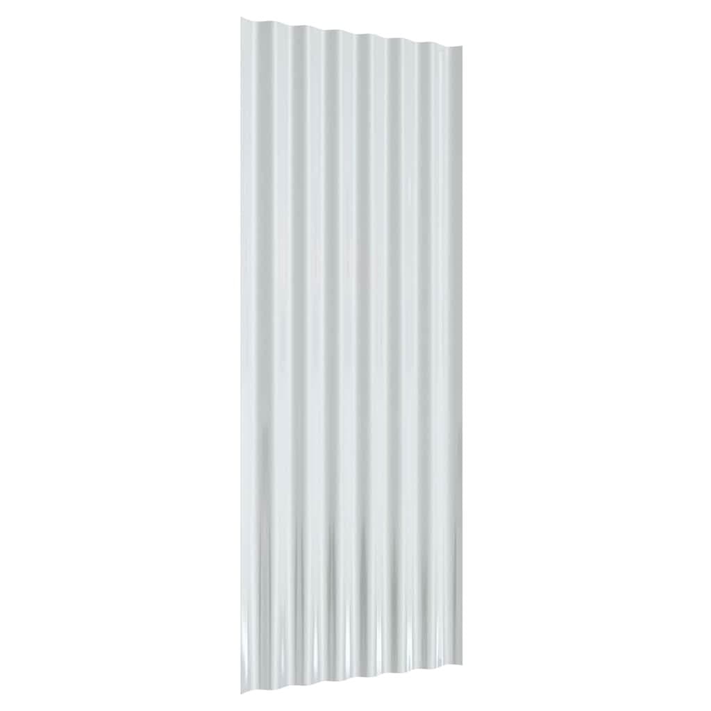 Galvanised Steel Corrugated Roof Panels for Durable Sheds