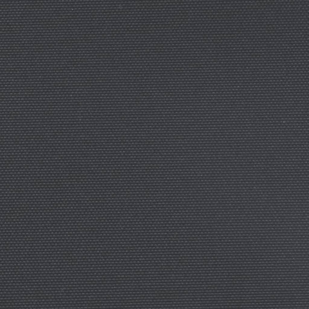 Retractable Side Awning 160x1000cm Black