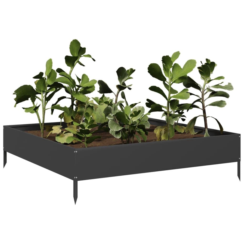 Black Steel Raised Garden Bed for Plants