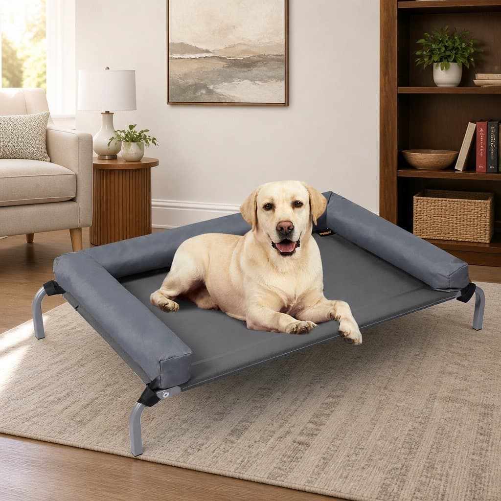 Elevated Pet Bed for Dogs and Cats