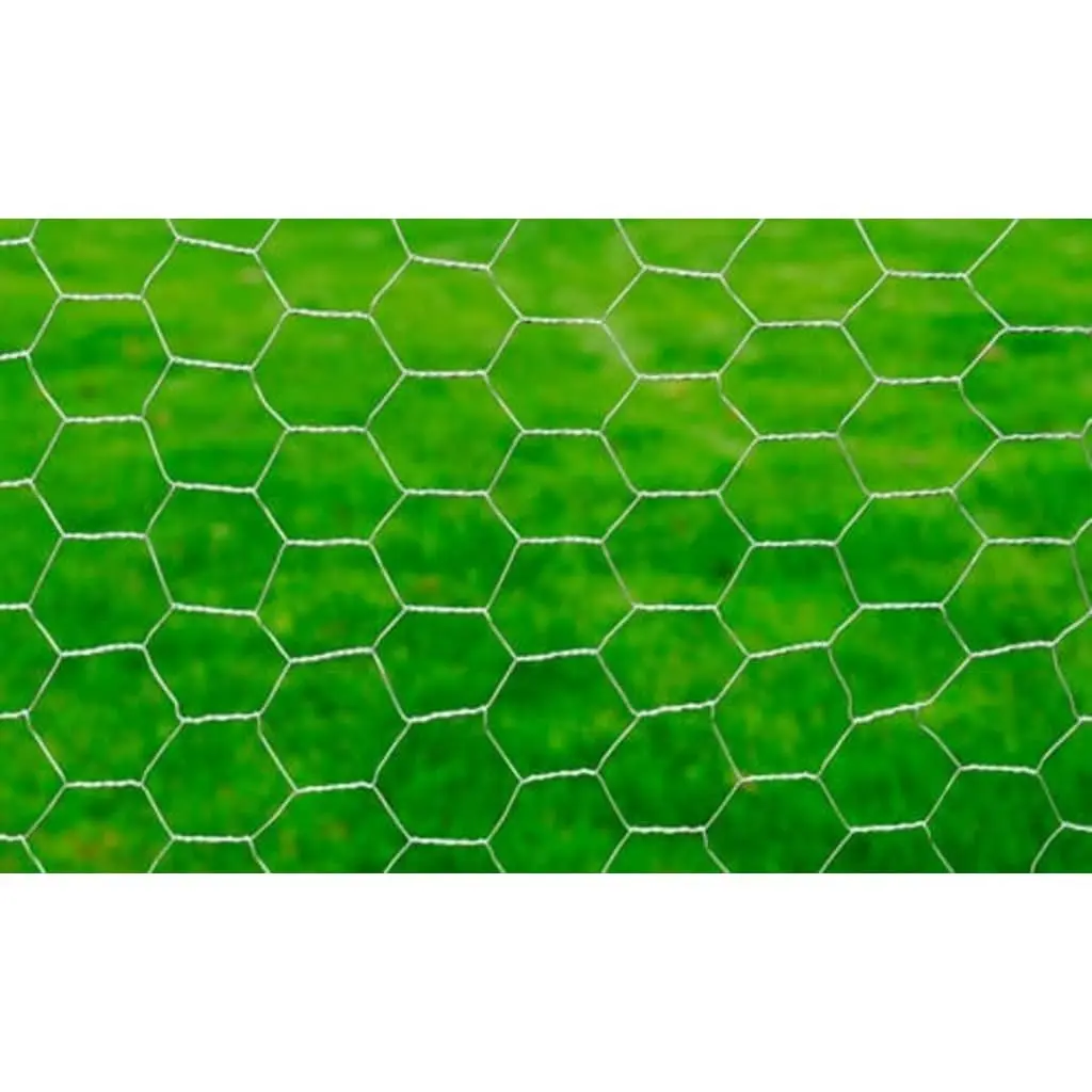 Galvanised Steel Chicken Wire Fence 25x1m