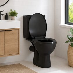Quality Black Soft Close Toilet Seat for Standard Bowls