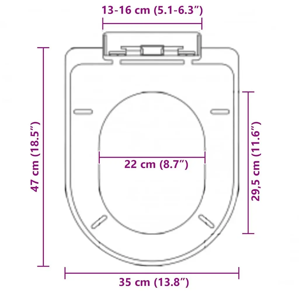 Soft-Close Toilet Seat with Quick-Release, Black