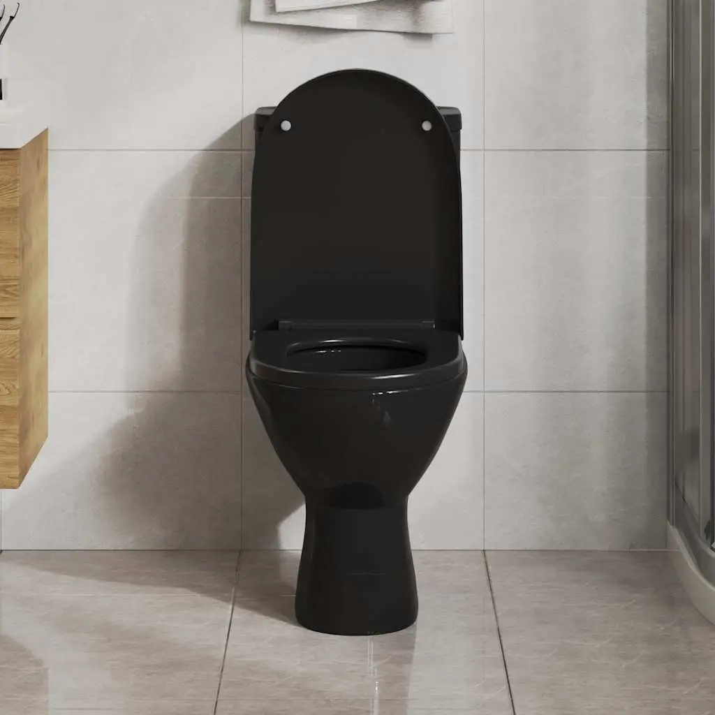 Black Soft-Close Toilet Seat with Quick-Release