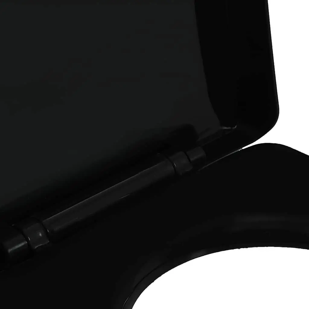 Black Soft-Close Toilet Seat with Quick-Release