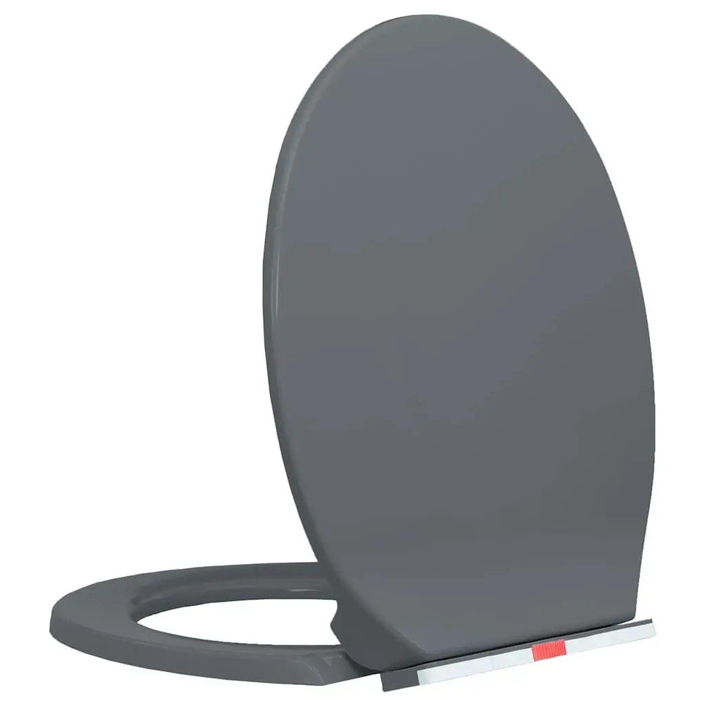 Grey Soft-Close Toilet Seat with Quick Release