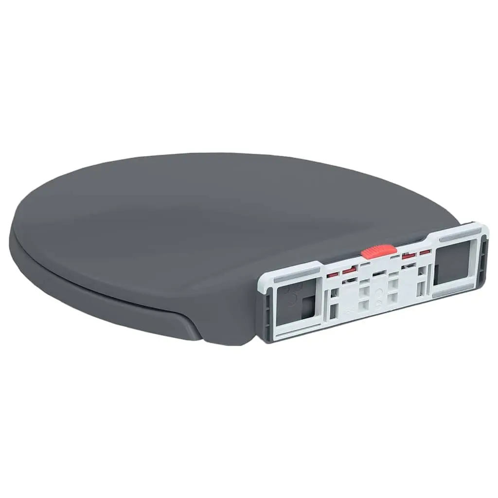 Grey Soft-Close Toilet Seat with Quick Release