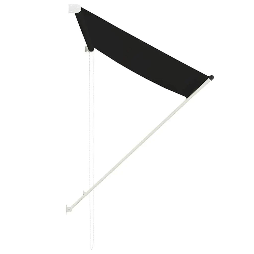 Retractable Awning 100x150 cm Anthracite Canopy