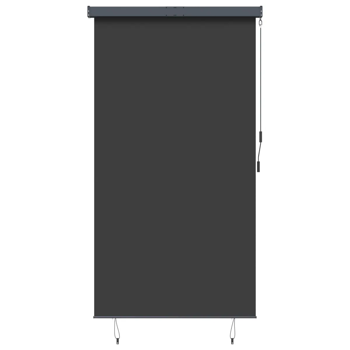 Outdoor Roller Blind 140x250cm in Anthracite