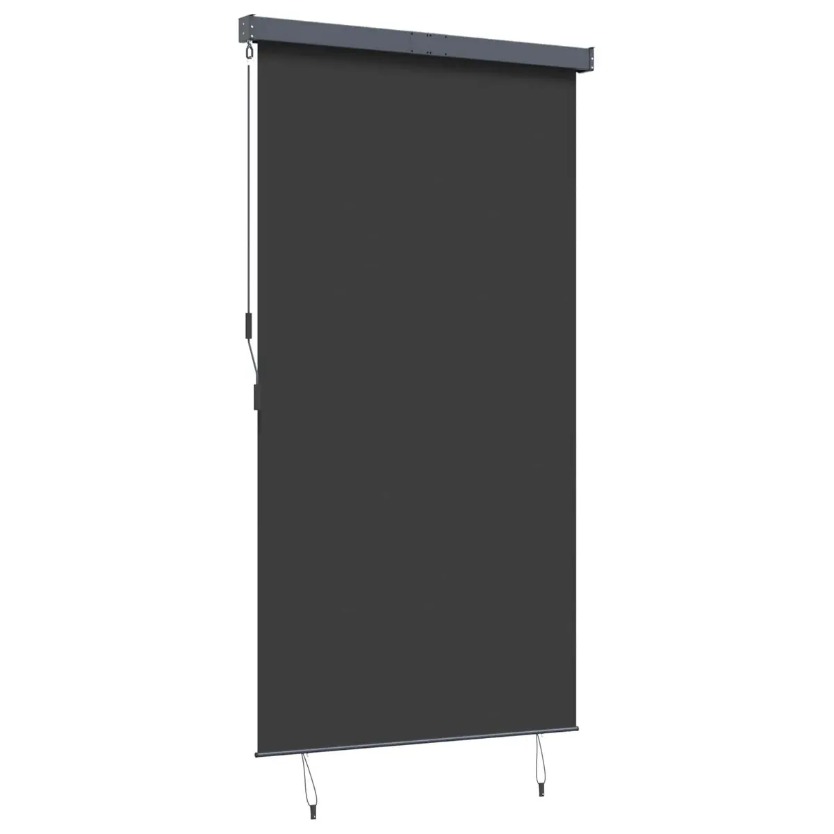 Outdoor Roller Blind 140x250cm in Anthracite