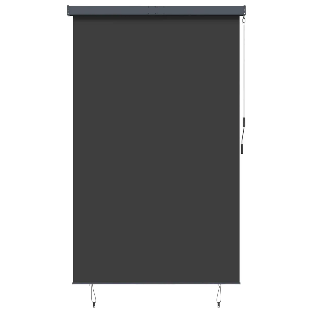 Outdoor Roller Blind Polyester 160x250 cm Anthracite Hand Crank