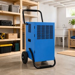 Robust Blue Dehumidifier 50L/24h for Effective Moisture Control
