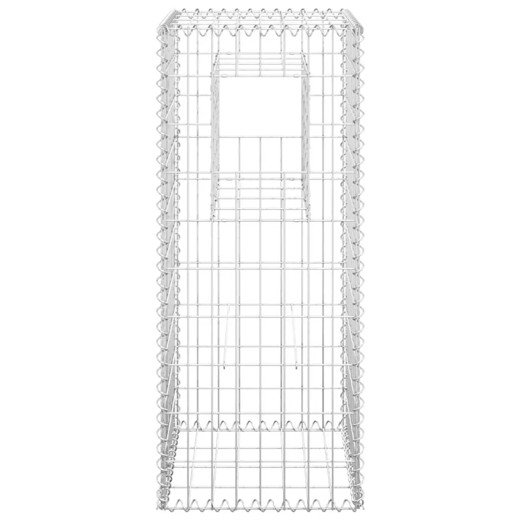 Gabion Basket Posts 2 pcs 40x40x100 cm Iron