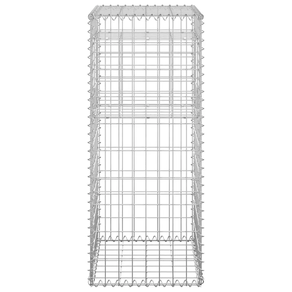 Gabion Basket Posts 2 pcs 40x40x100 cm Iron
