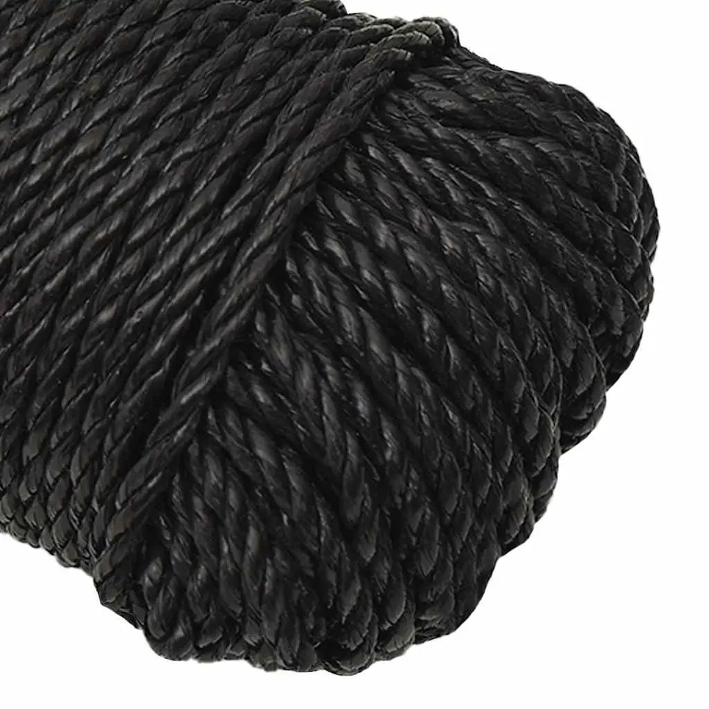 Work Rope Polypropylene 6mm 100m Black
