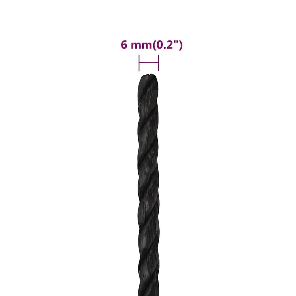 Work Rope Polypropylene 6mm 100m Black