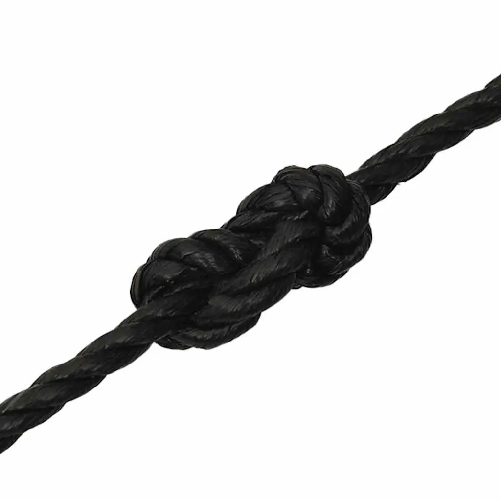 Black Twisted Polypropylene Work Rope 10mm 100m