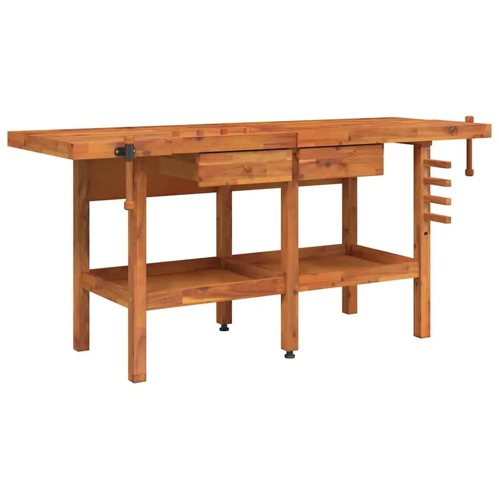 Solid Wood Workbench with Storage and Vices