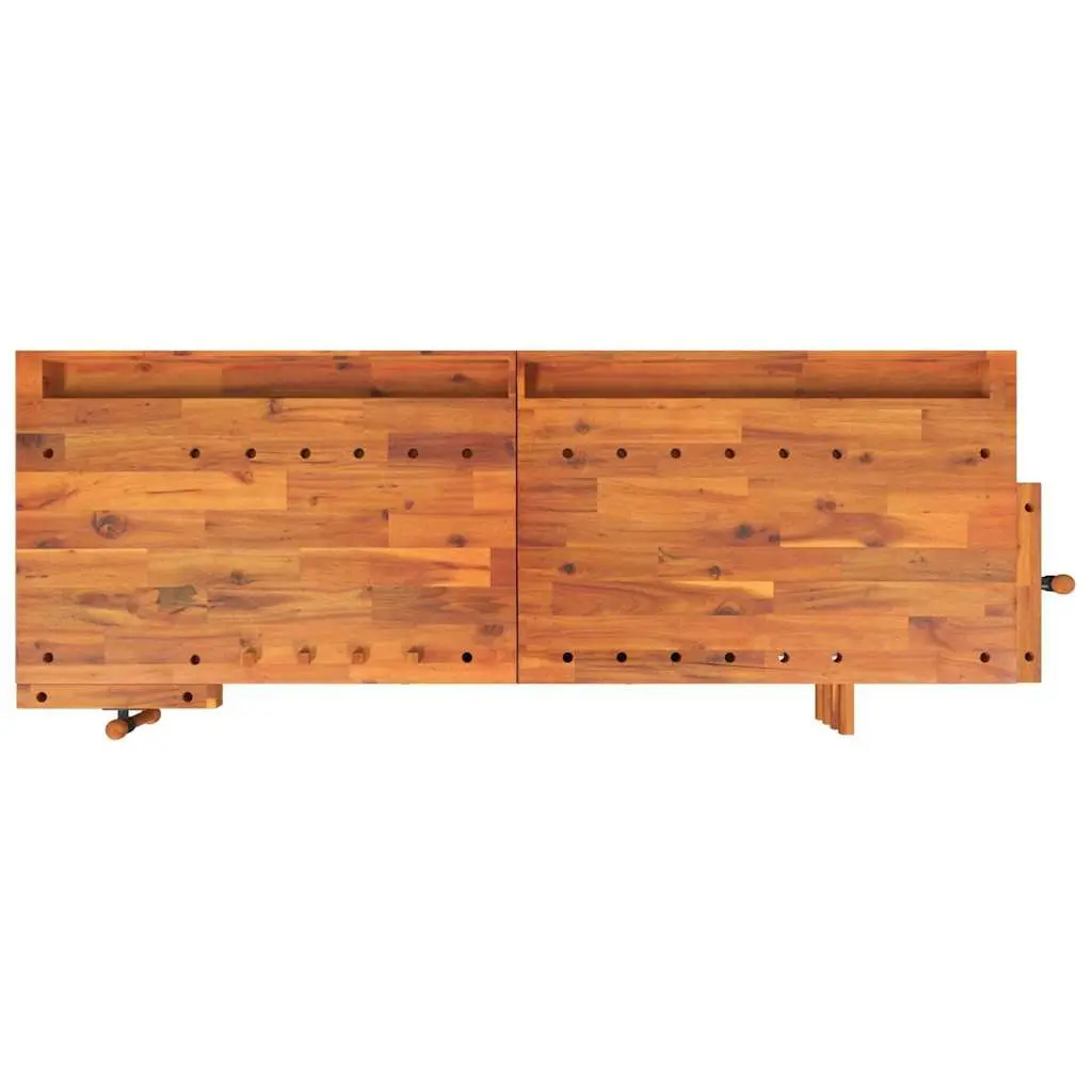 Solid Wood Workbench with Storage and Vices