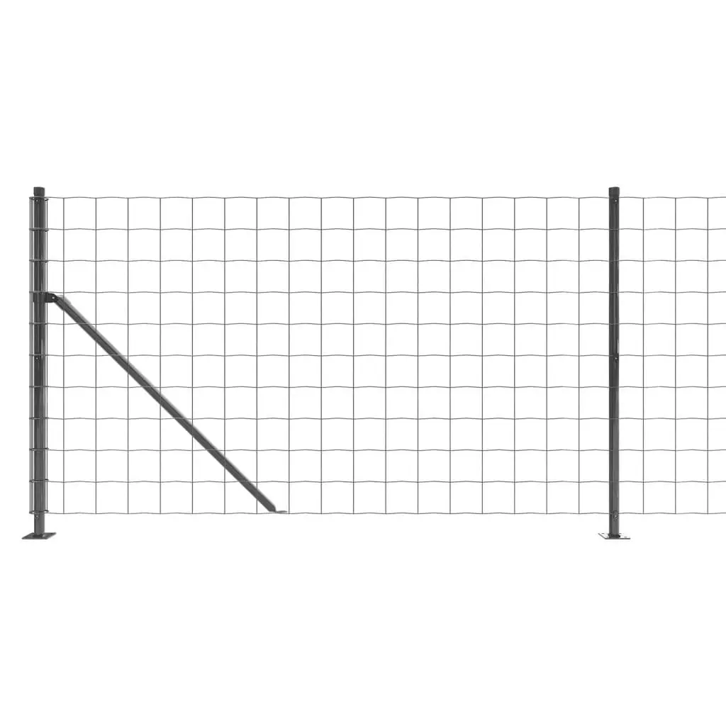 Wire Mesh Fence Panel Steel 1x25m Anthracite