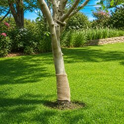 Durable Jute Roll 0.25x25m Natural Burlap Runner