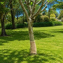 Durable Jute Roll 0.25x100 m Natural Burlap for Crafting and Decor