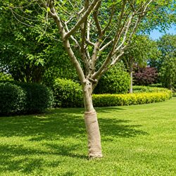 High-Quality Natural Jute Roll for Crafts and Decor