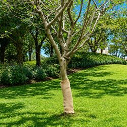 Premium Jute Roll 0.5x50m Natural Burlap Runner for Events