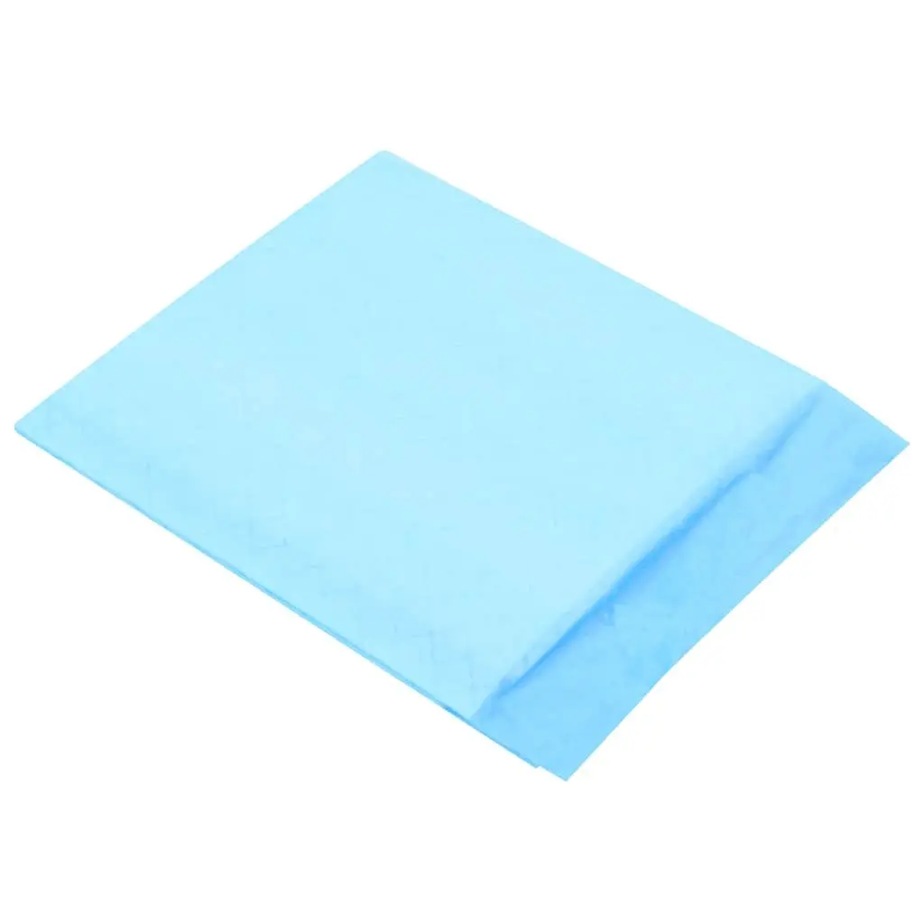 Non Woven Pet Training Pads 400 Pack 45x33cm