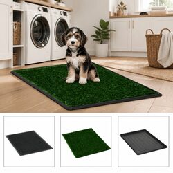 Durable Pet Training Toilet with Turf Grass Mat, 2 Pack