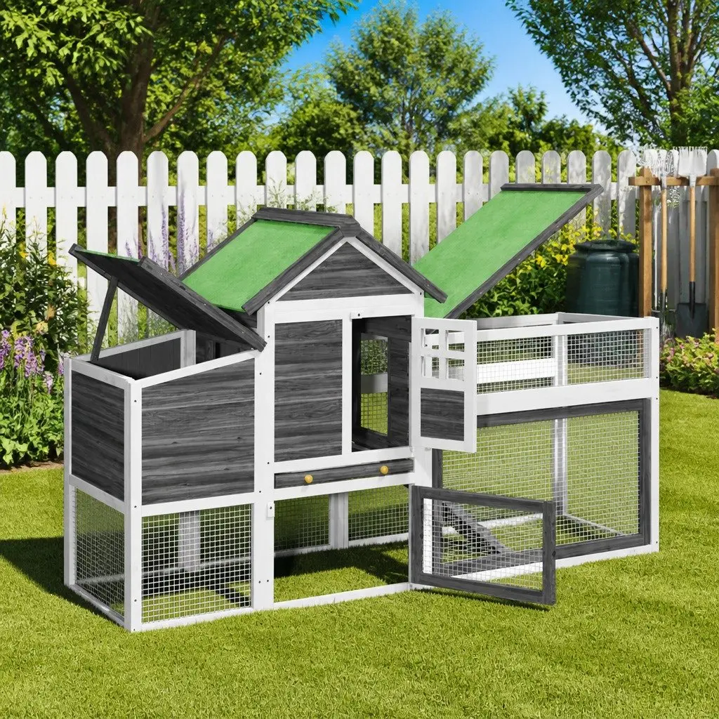 Solid Pine Wooden Chicken Coop with Nesting Box and Ramp