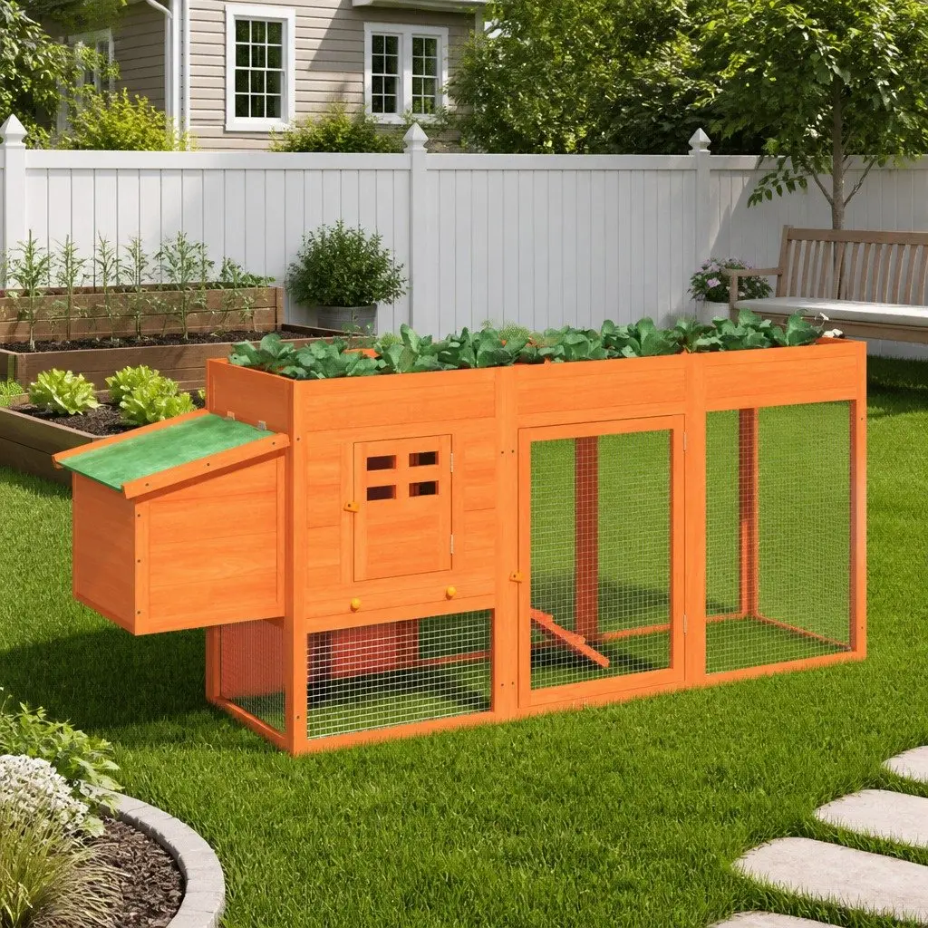Wooden Chicken Coop with Nesting Box