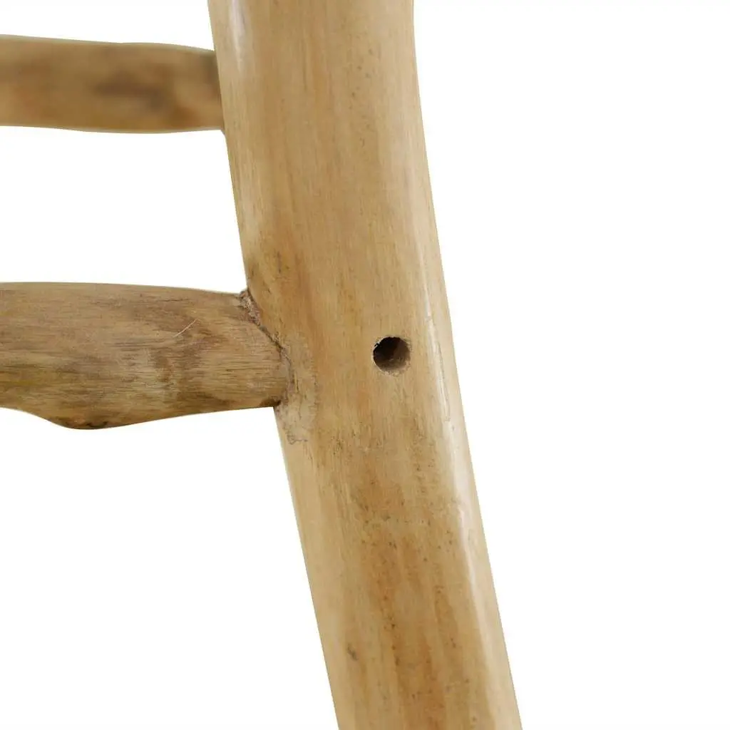 Rustic Bar Stool with Goat Leather and Teak Frame