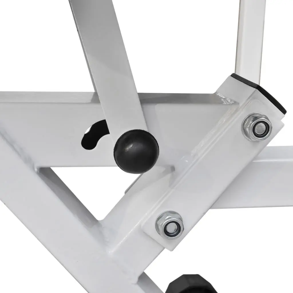 Adjustable Workout Bench with Barbell and Dumbbells