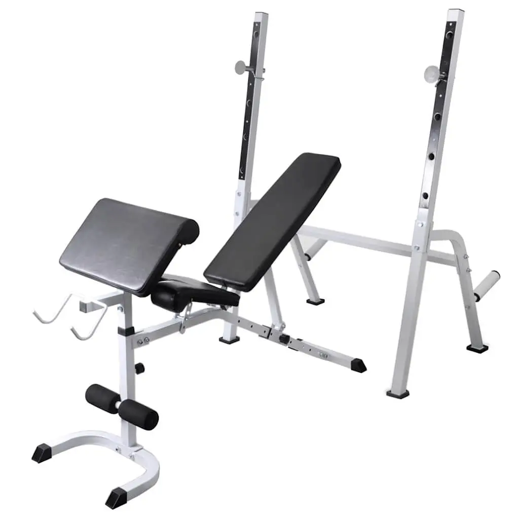 Adjustable Workout Bench with Weight Set