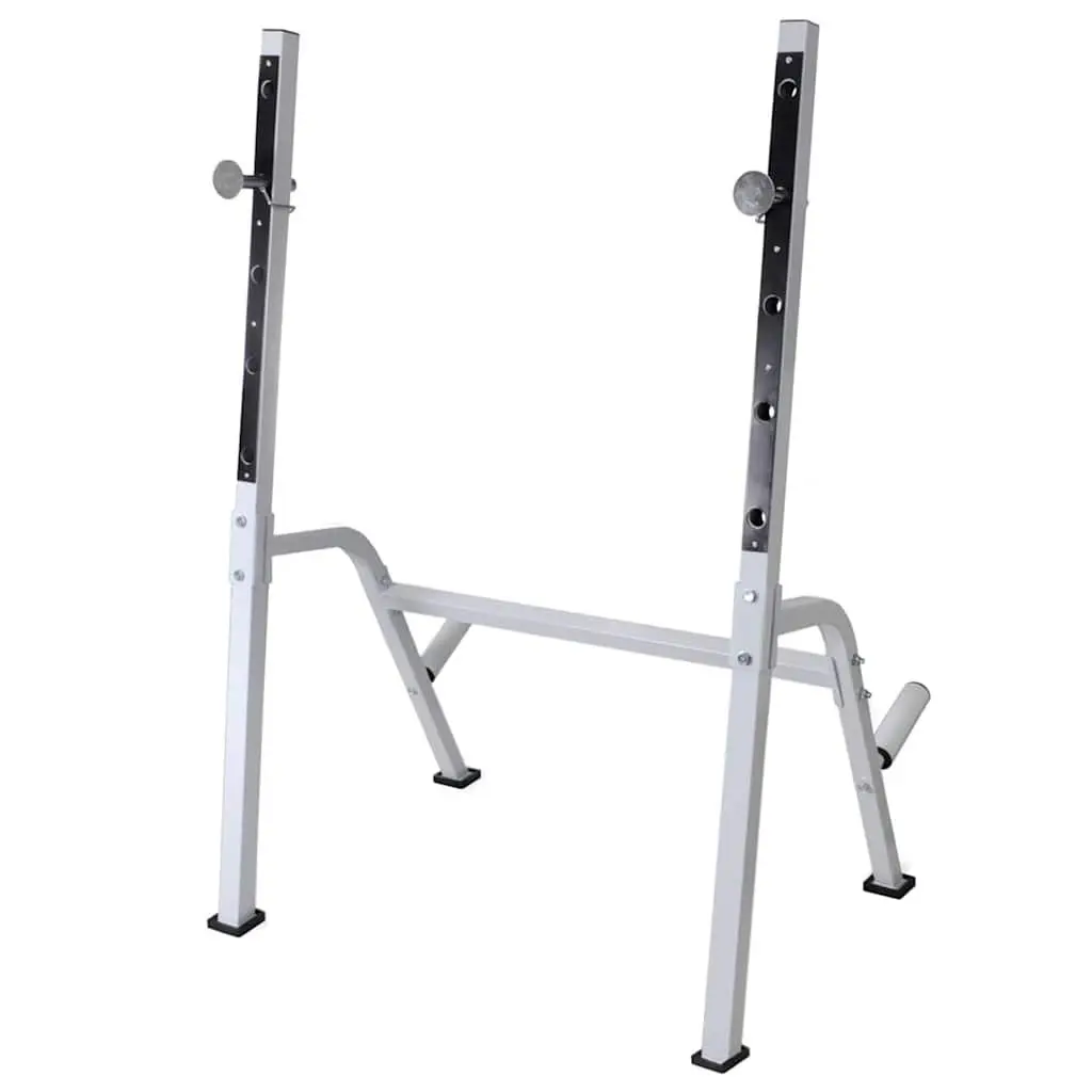 Adjustable Workout Bench with Weight Set