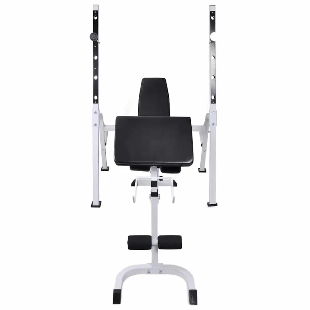 Adjustable Workout Bench with Weight Set