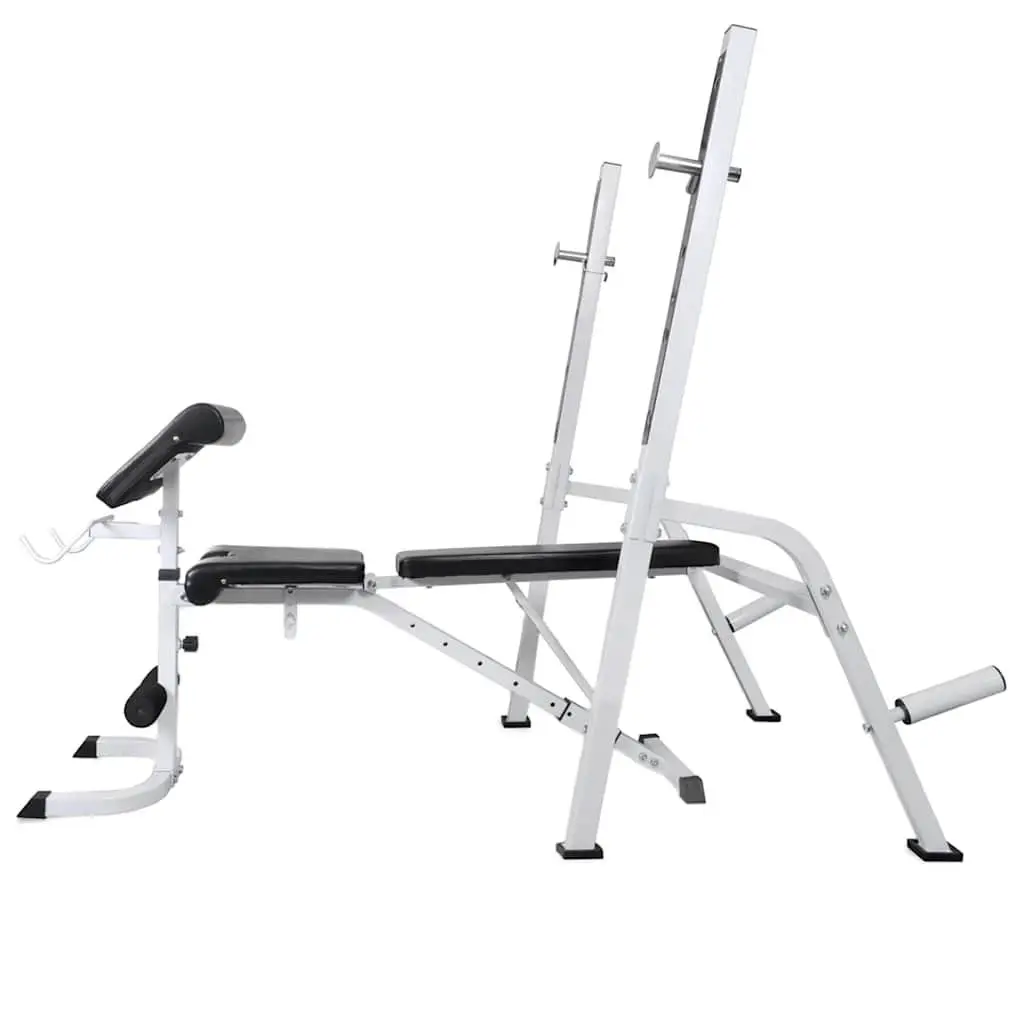 Adjustable Workout Bench with Weight Set