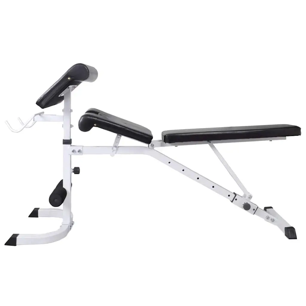 Adjustable Workout Bench with Weight Set
