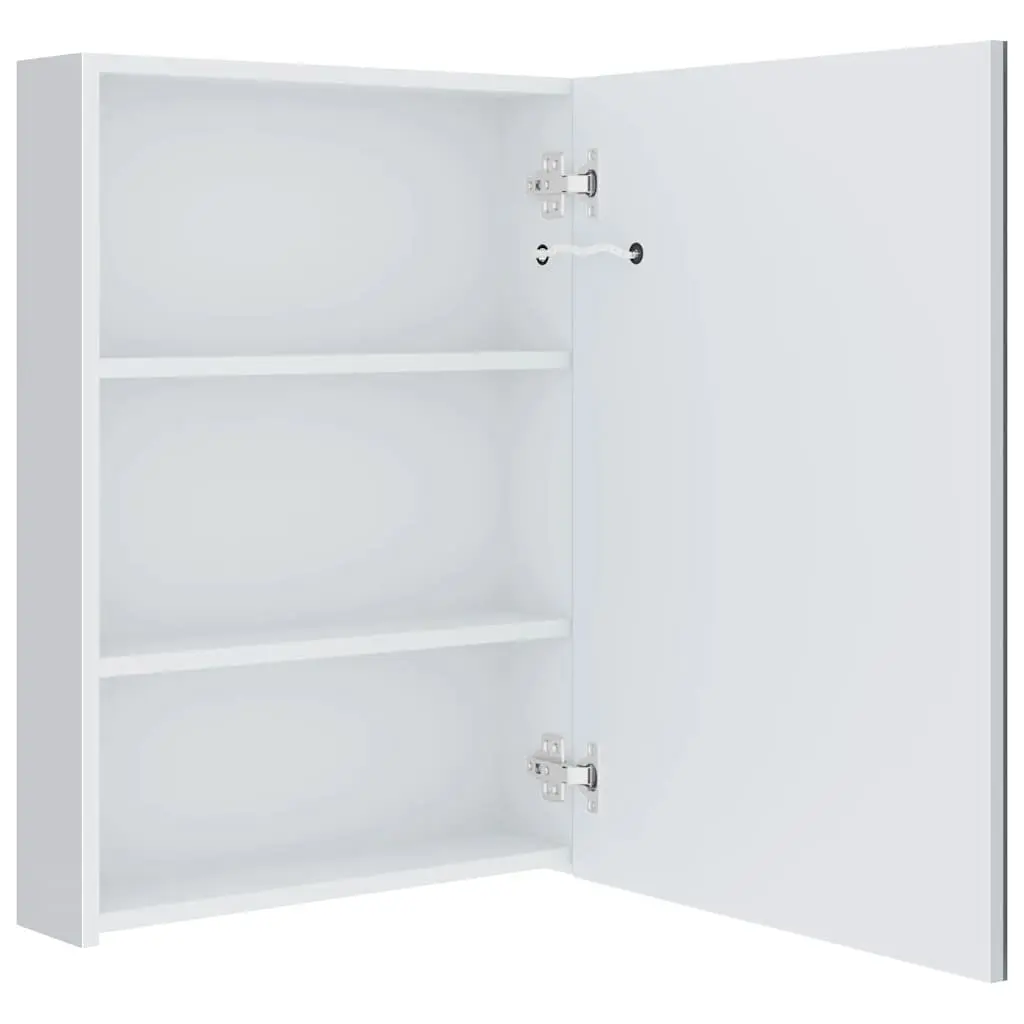 LED Bathroom Mirror Cabinet 50x13x70cm