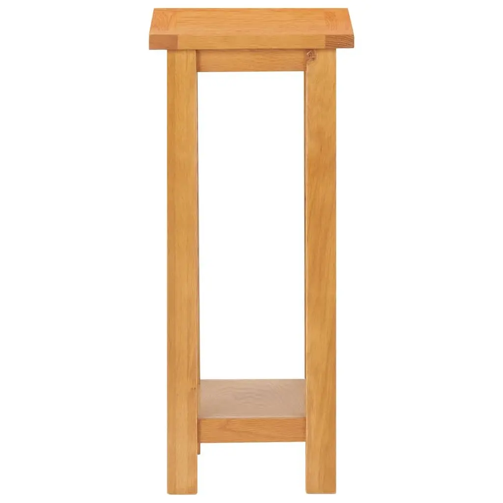 Accent Side Table with Shelf for Living Room