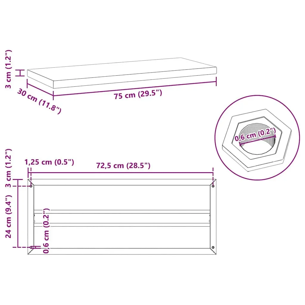 Wall Shelves Stainless Steel 75x30 cm Silver 2 Piece