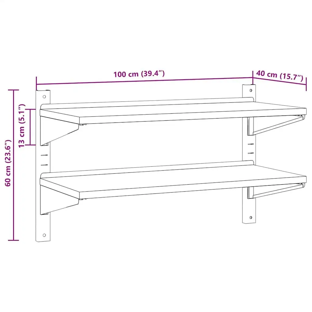2-Tier Wall Shelf 100x40x60 cm Silver Stainless Steel Storage Rack Mounting
