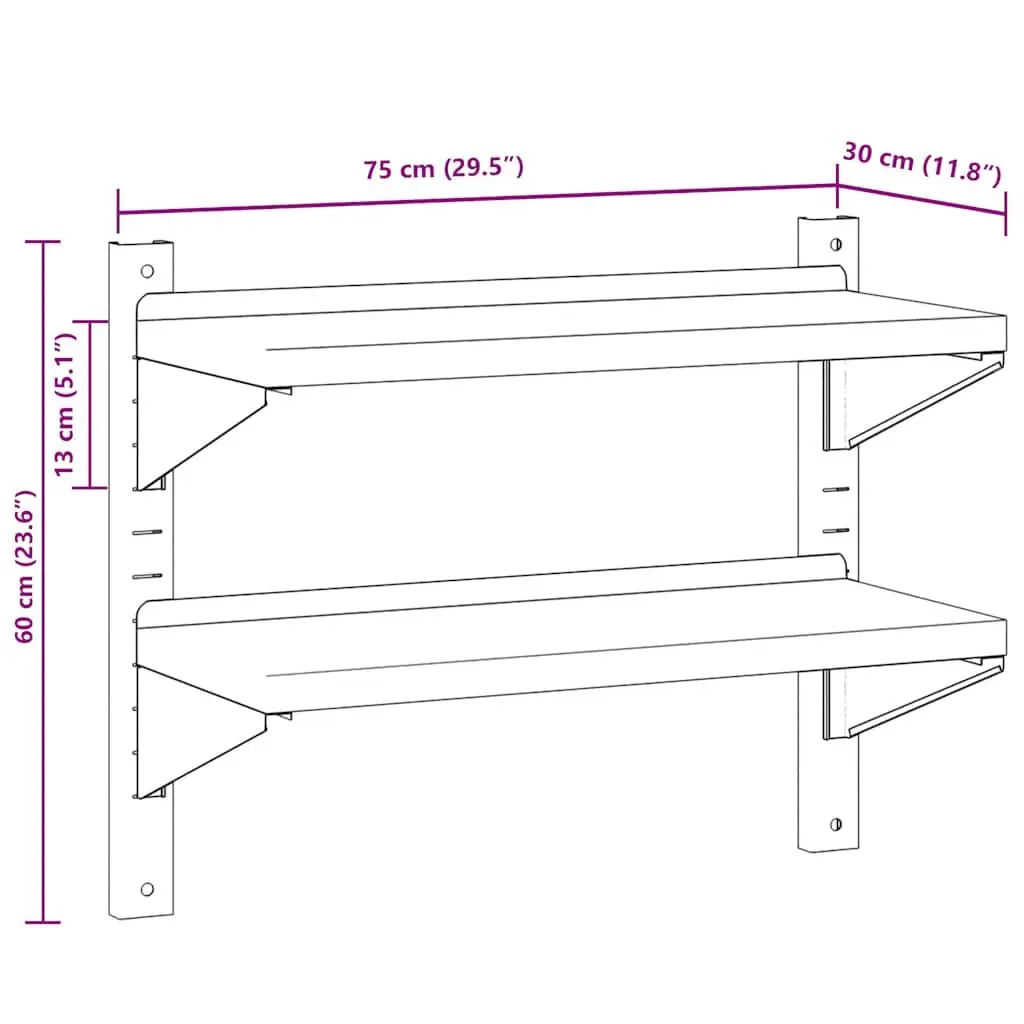 2-Tier Stainless Steel Wall Shelf for Storage