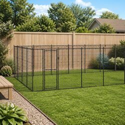 Durable Steel Outdoor Dog Kennel with Mesh Enclosure