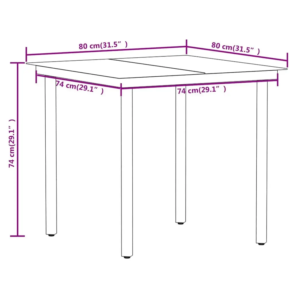 5 Piece Garden Dining Set with Black Glass Table