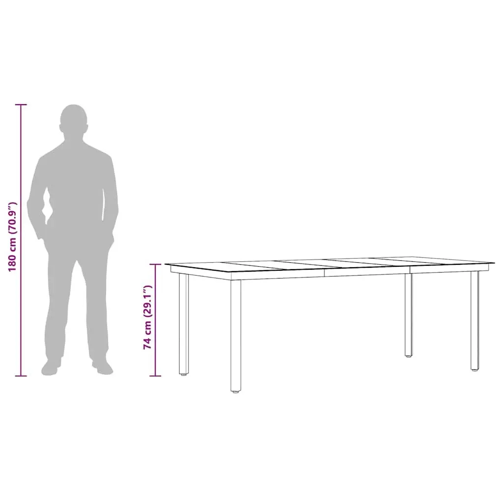 Black Steel Frame Glass Top Garden Dining Table