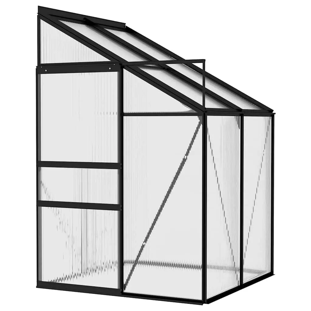 Anthracite Aluminium Frame Greenhouse for Plants